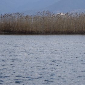 Prespes lake
