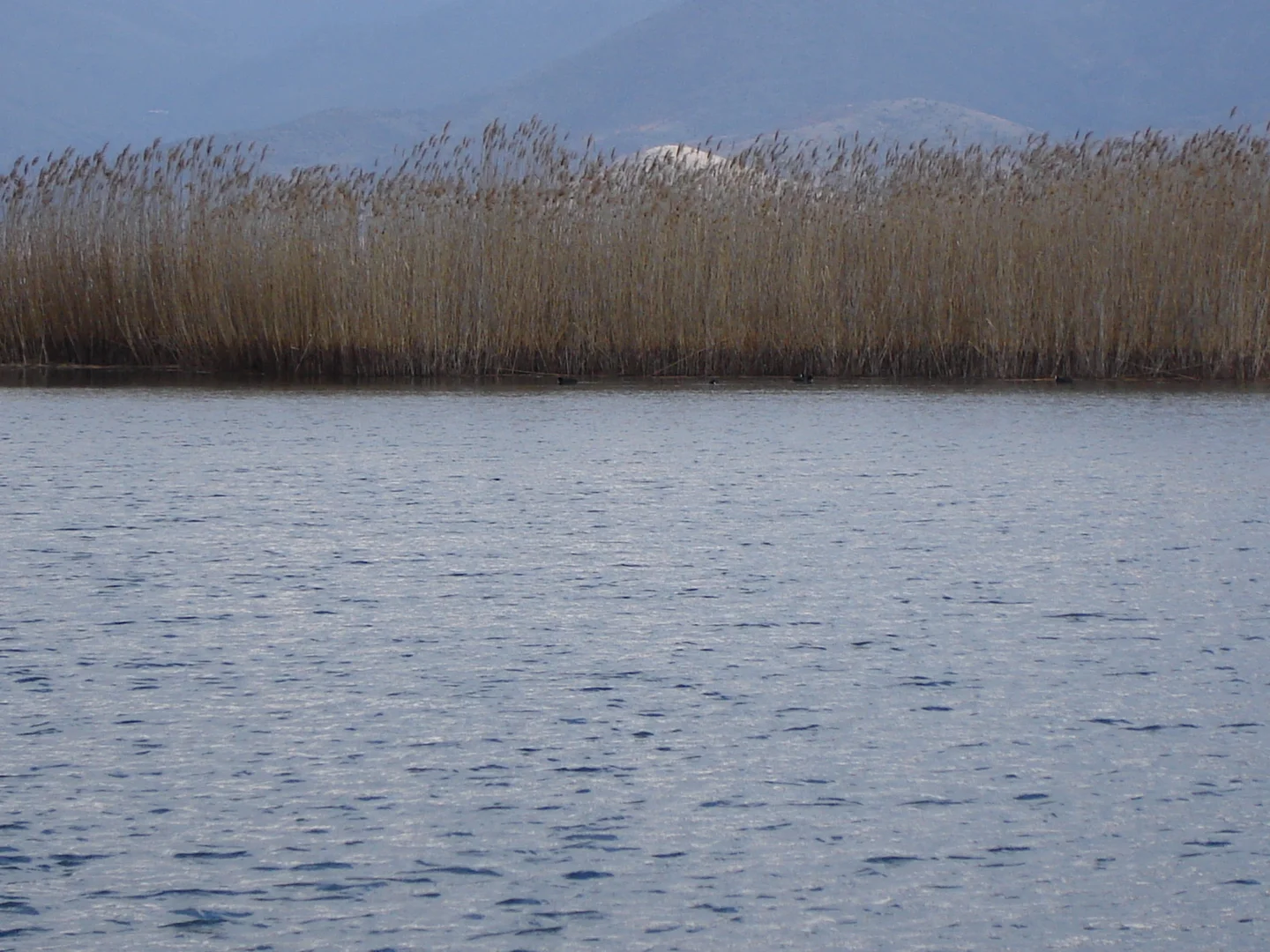 Prespes lake