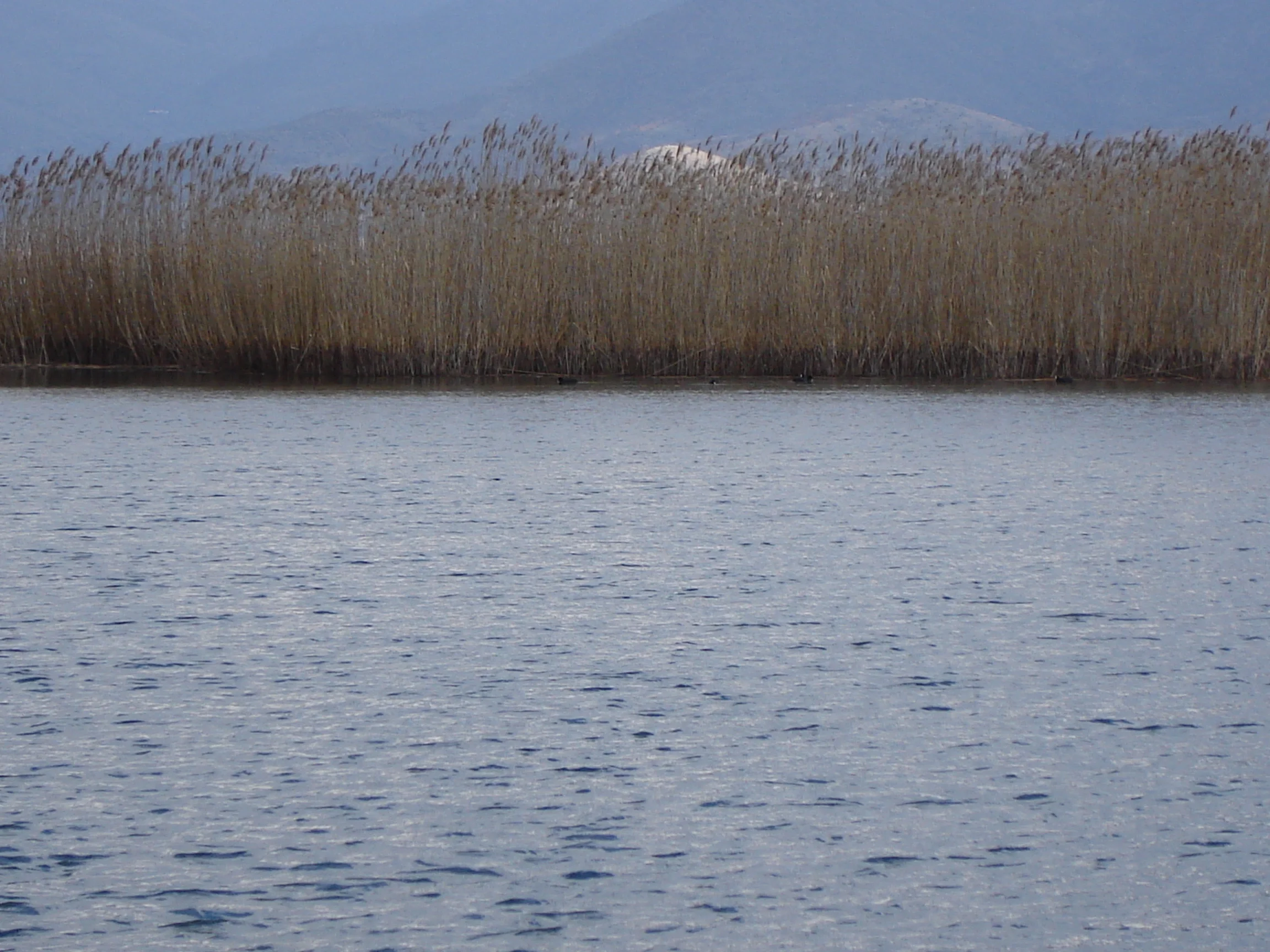 Prespes lake