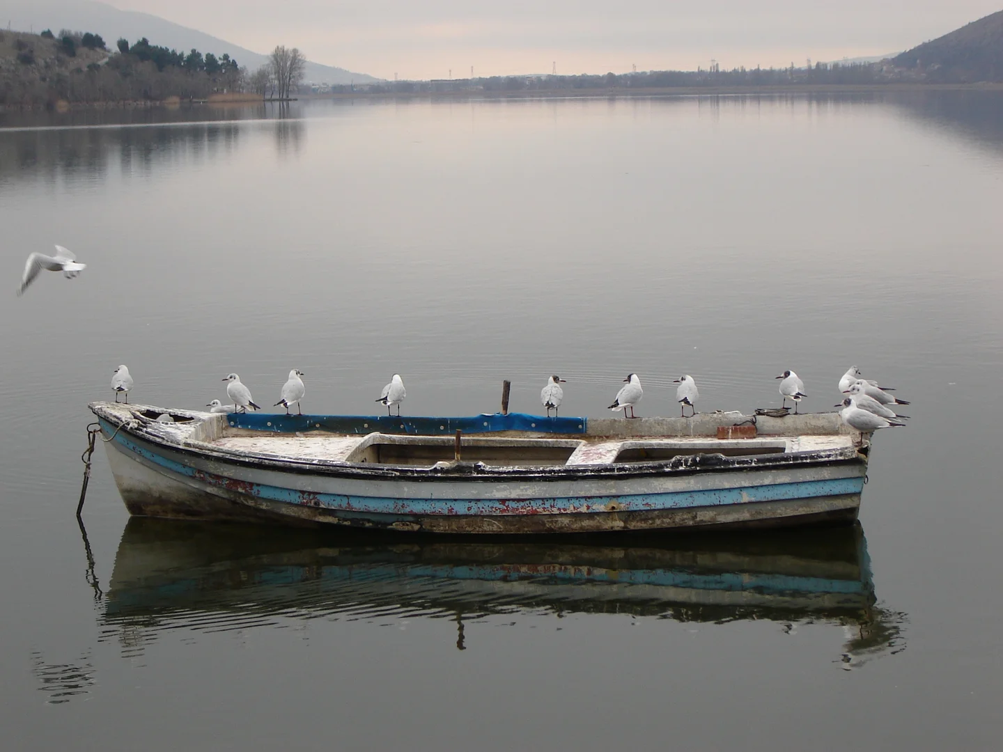 Kastoria lake