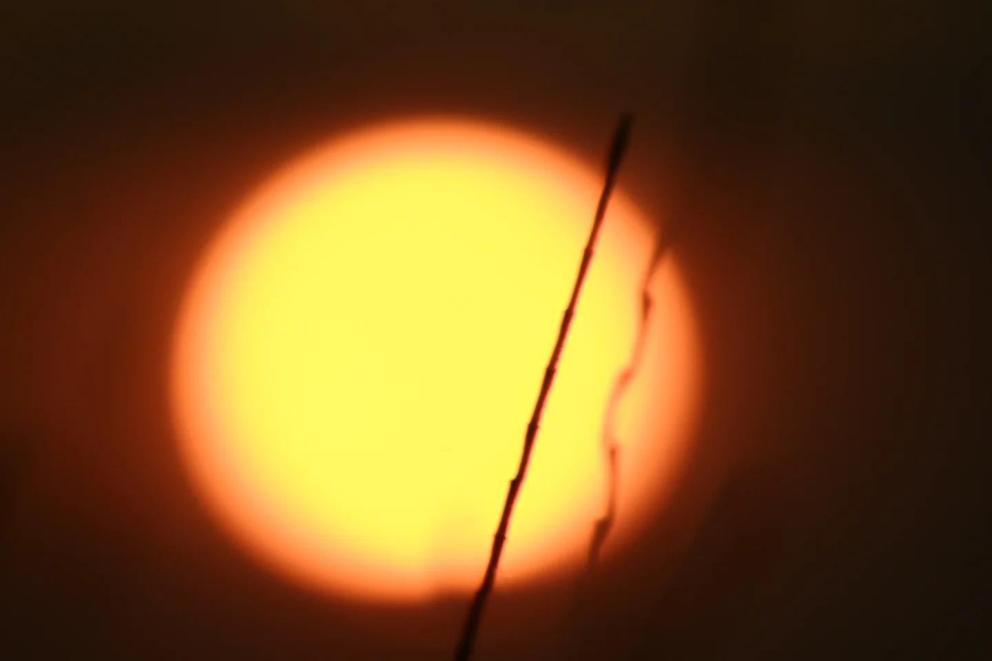 Blazing sun