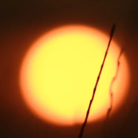 Blazing sun