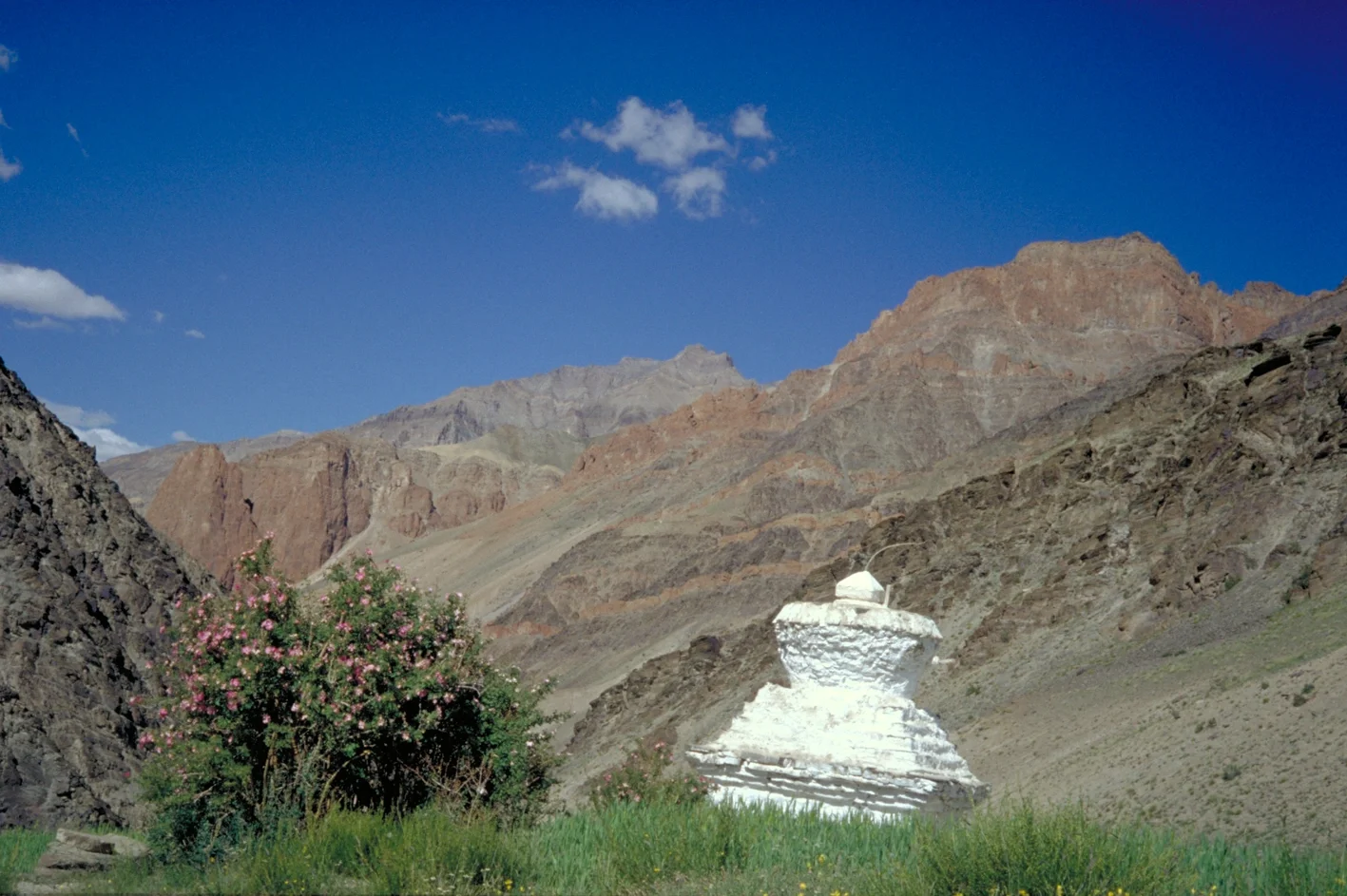 Tethys Himalaya in Zanskar