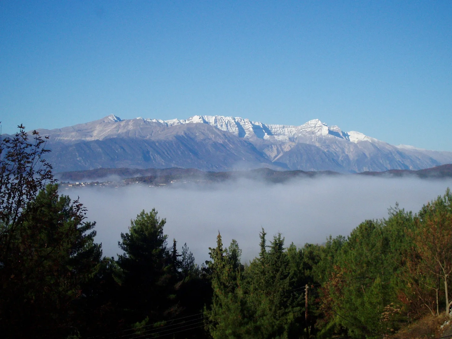 Konitsa