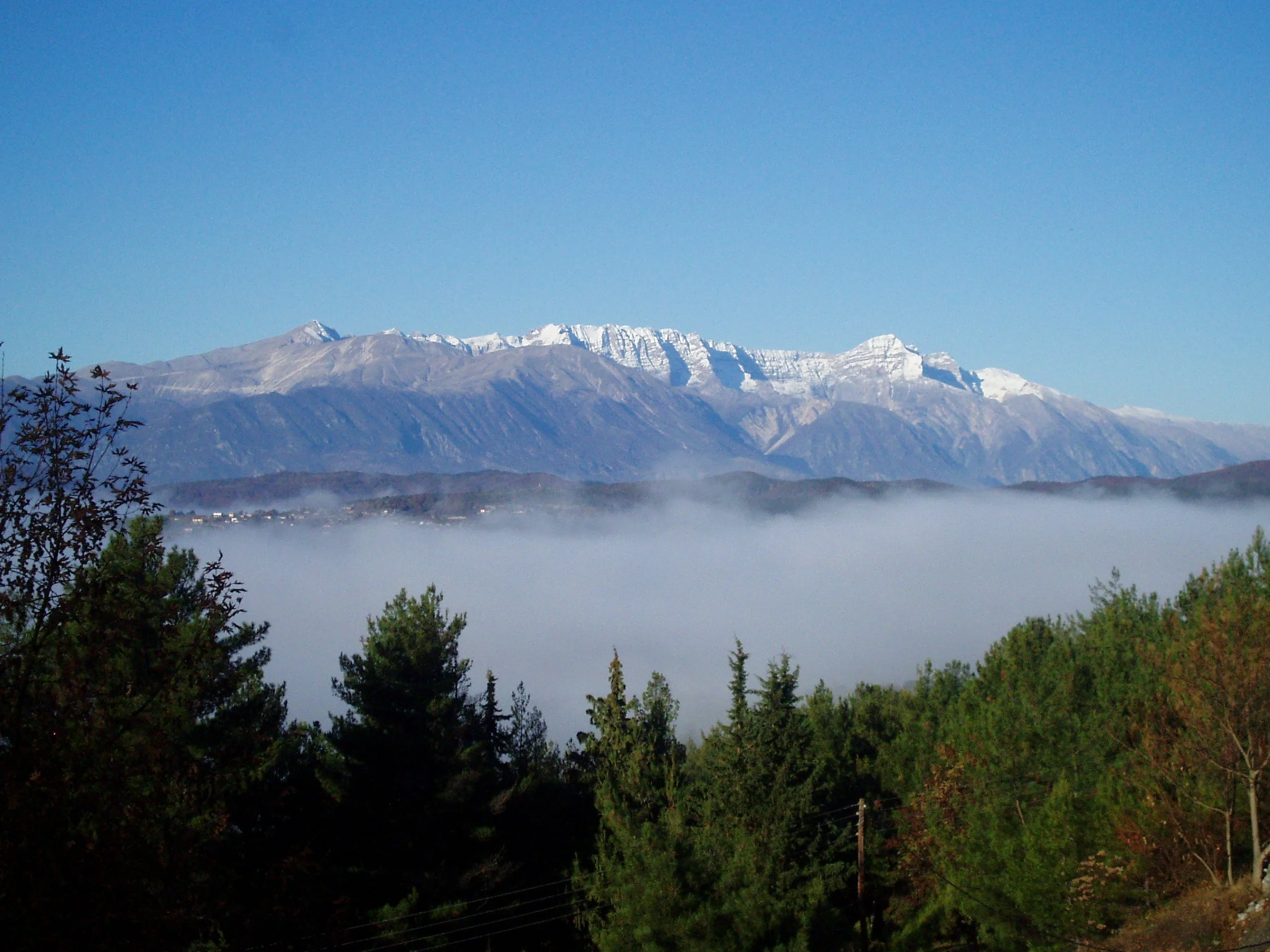 Konitsa