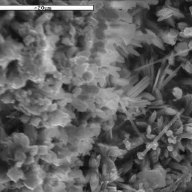 SEM image of cement clinker