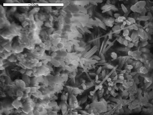 SEM image of cement clinker