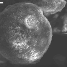 SEM image of a soot aerosol particle.
