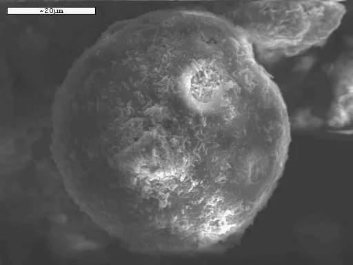 SEM image of a soot aerosol particle.