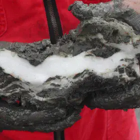 Gas hydrates from the Gulf of Mexico