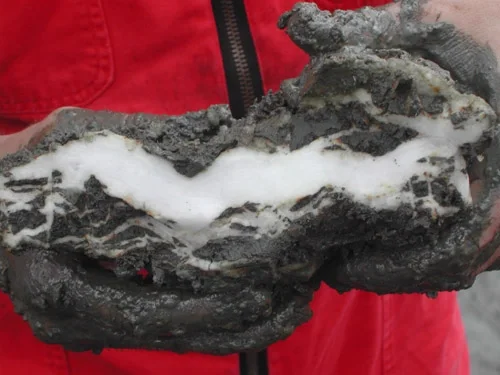 Gas hydrates from the Gulf of Mexico