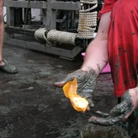 Gas hydrates from the Gulf of Mexico