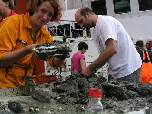 Gas hydrates from the Gulf of Mexico