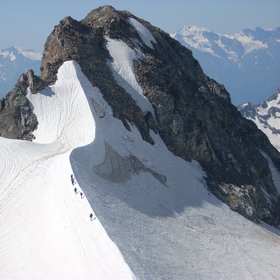 To the top
