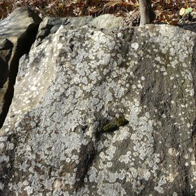 Rock with lichens