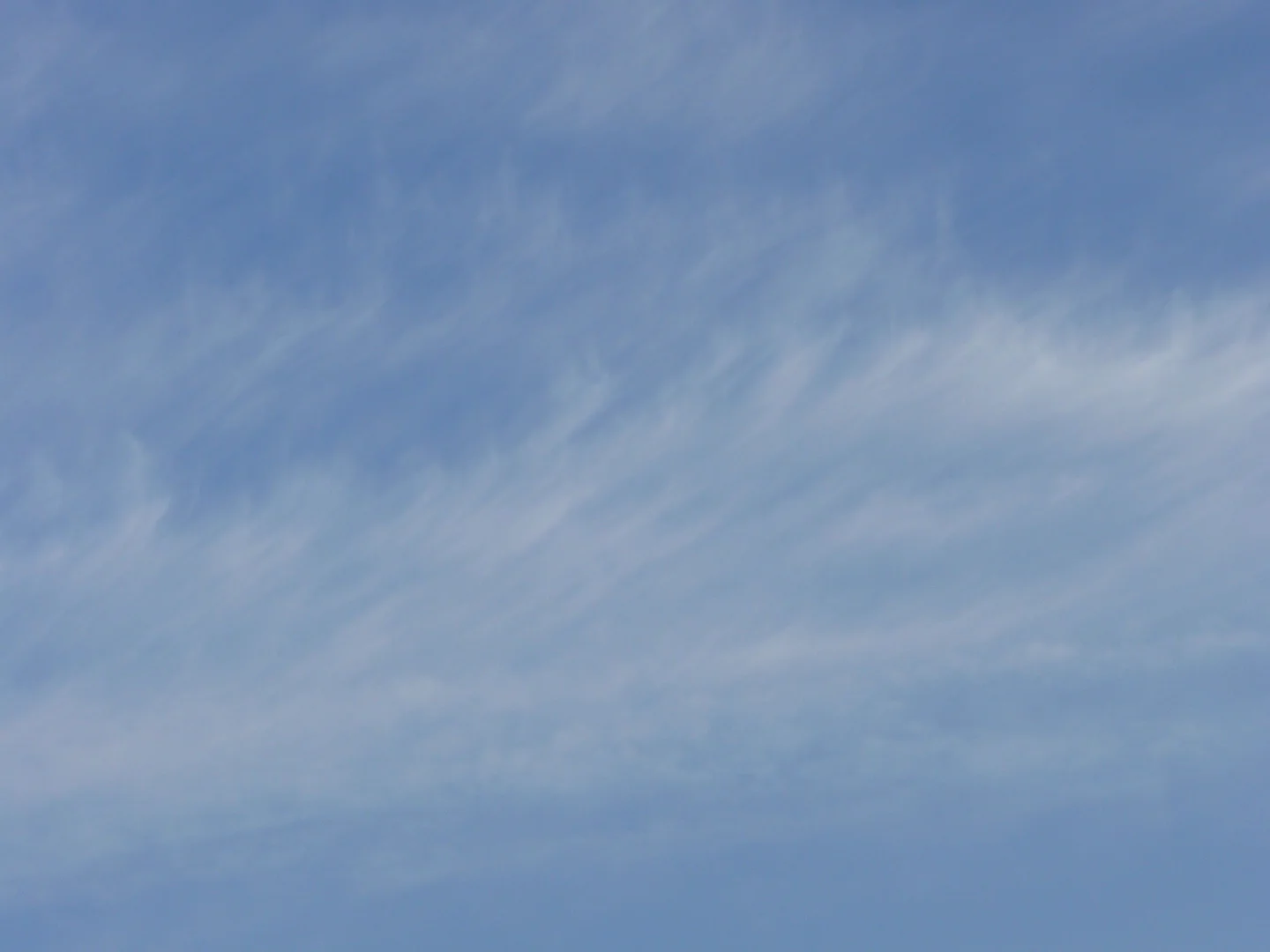 Cirrus clouds