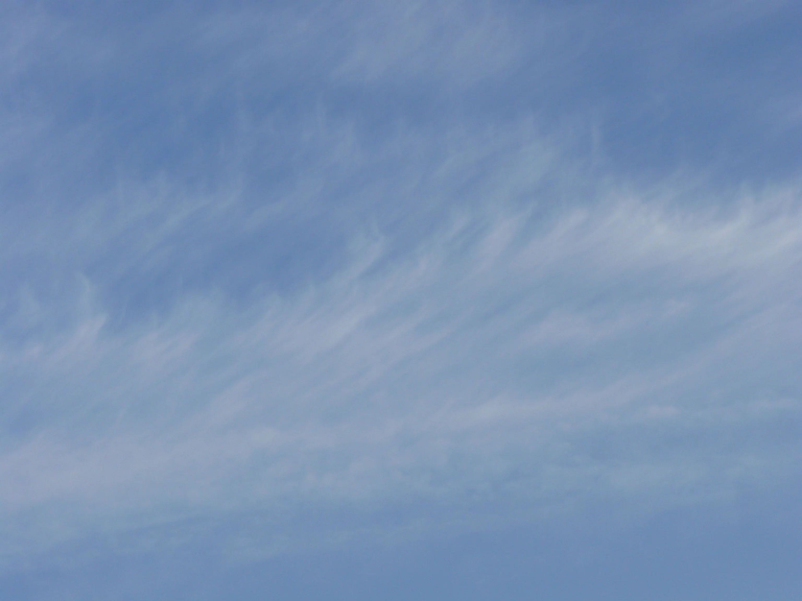 Cirrus clouds