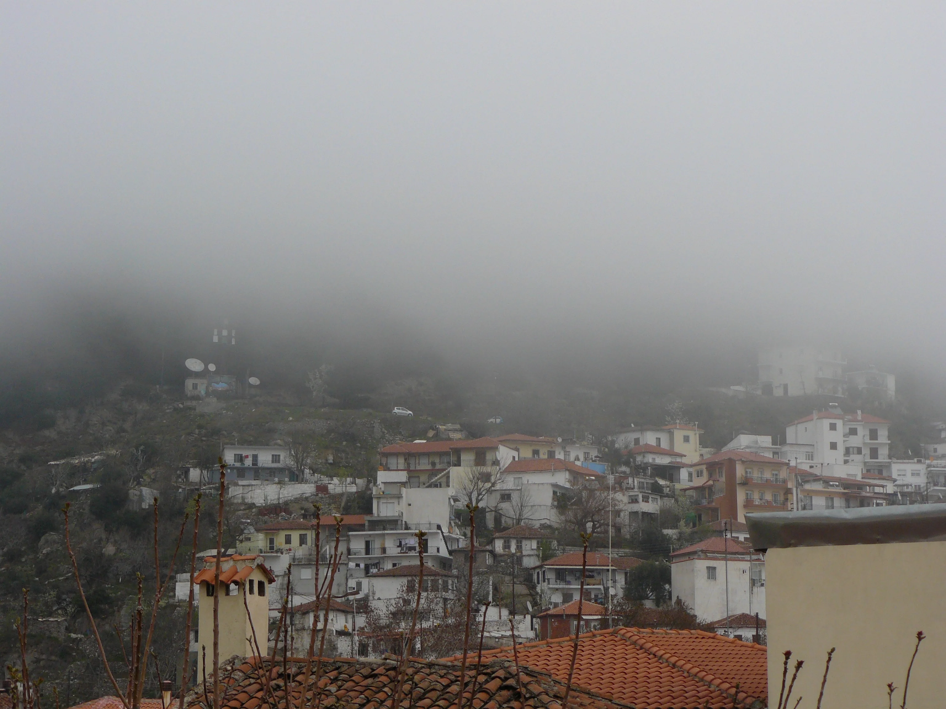 Fog