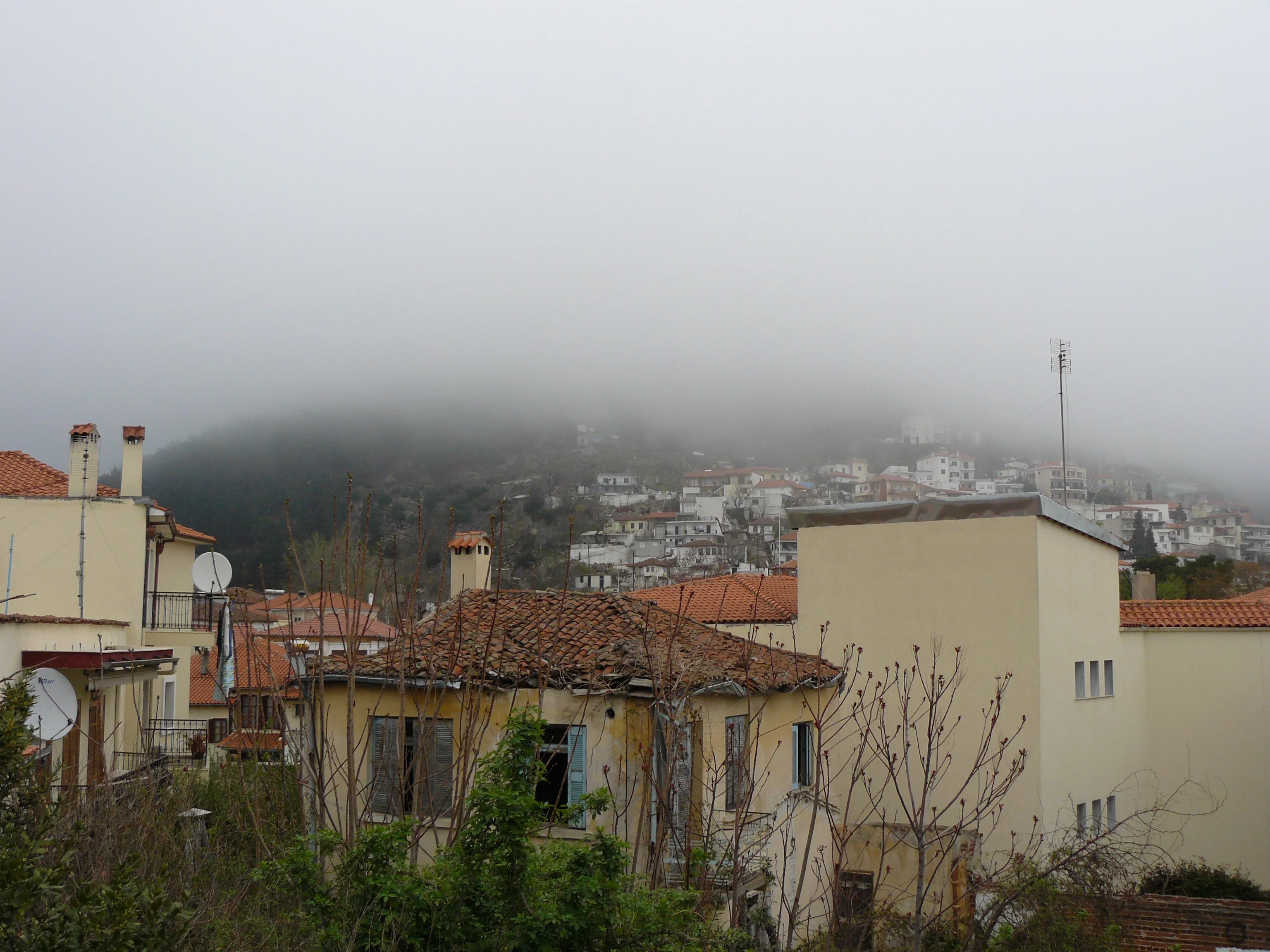 Fog