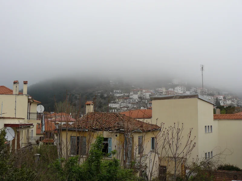Fog