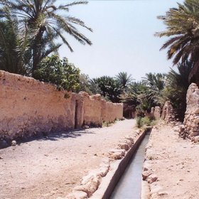 Irrigation channel in the Palmyra oasis