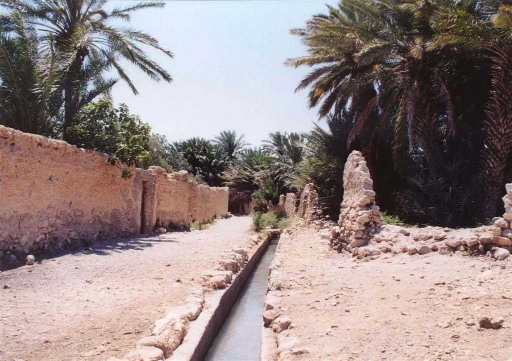Irrigation channel in the Palmyra oasis