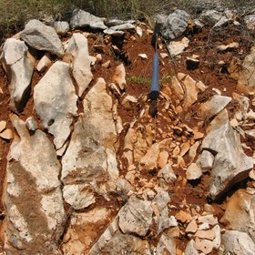 Lithic Rhodoxeralf