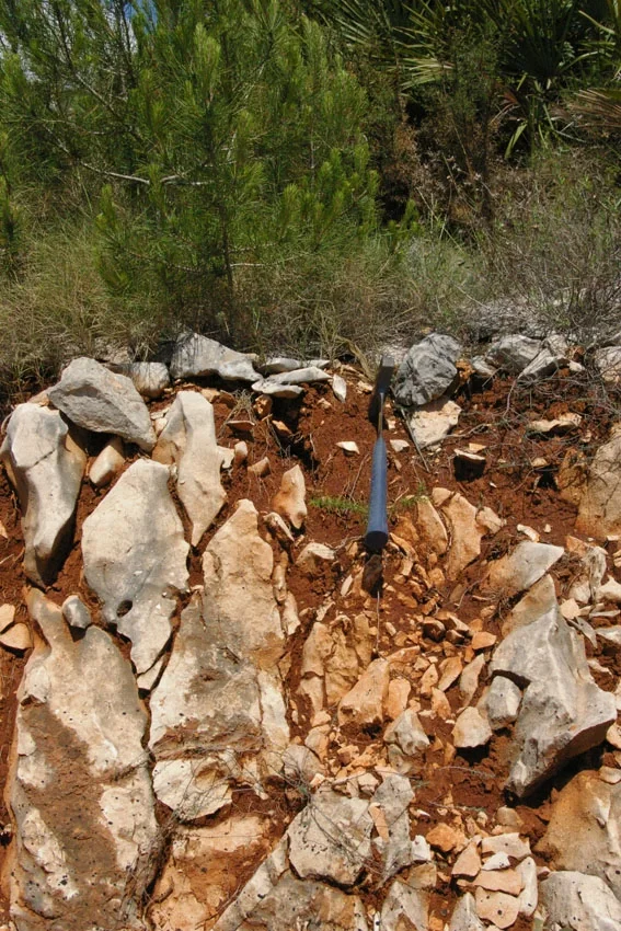 Lithic Rhodoxeralf