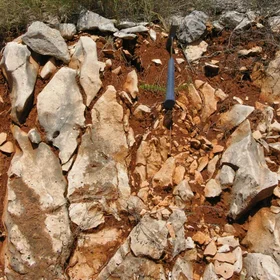 Lithic Rhodoxeralf