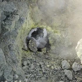 Fumaroles vent in Vulcano Island