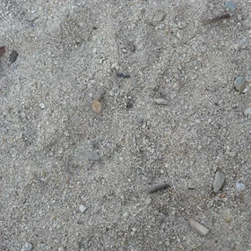 Beach sand