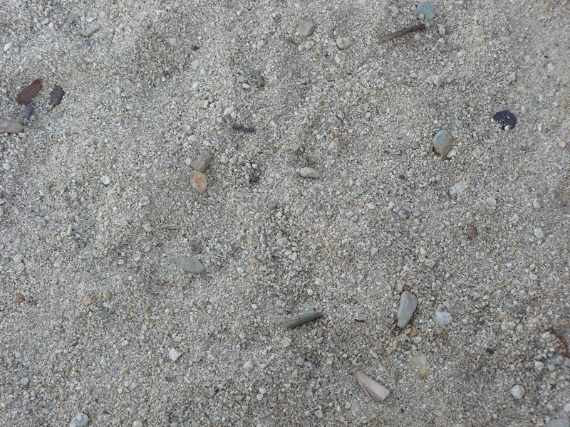 Beach sand