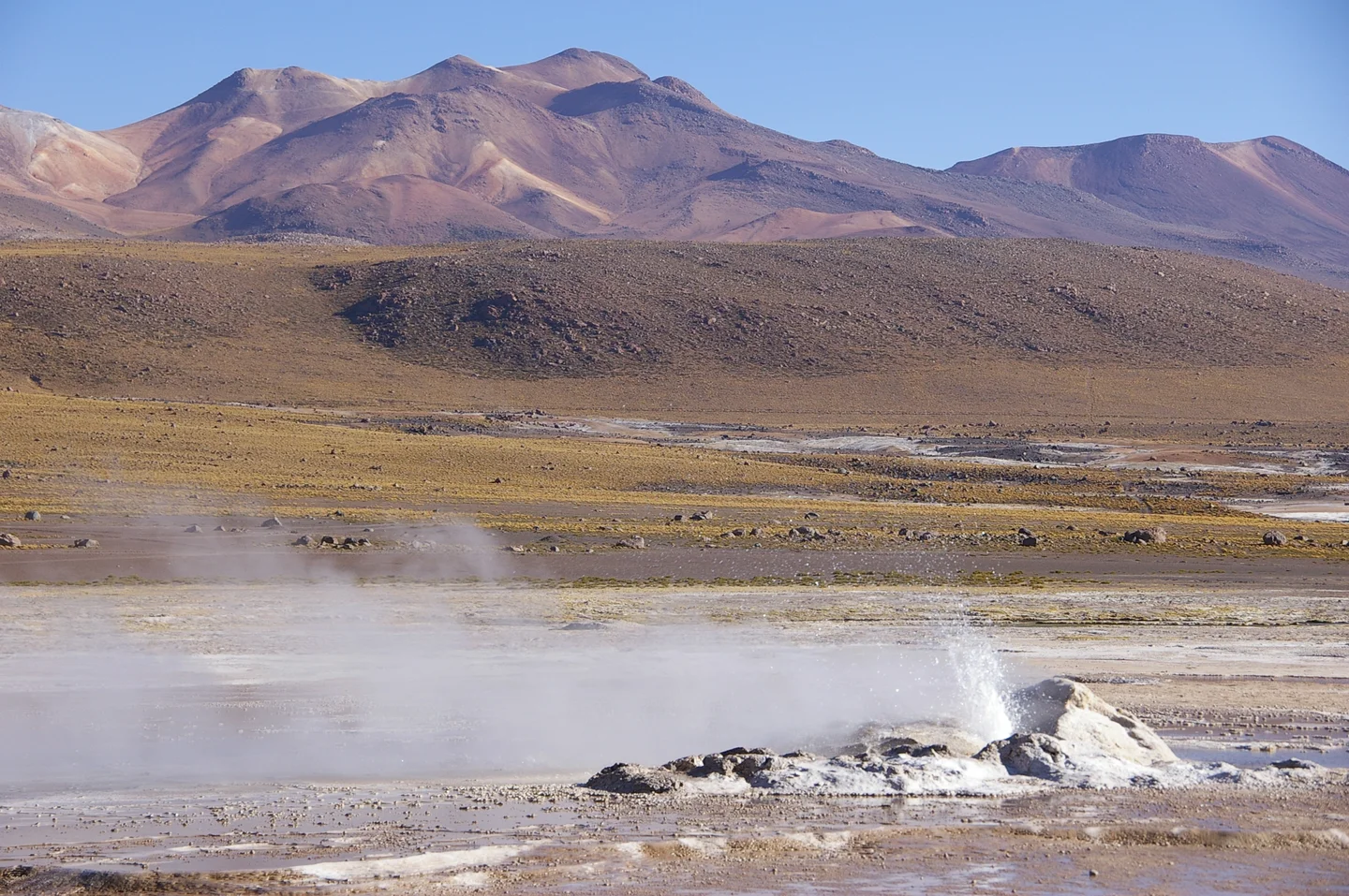 El Tatio Geyser Field