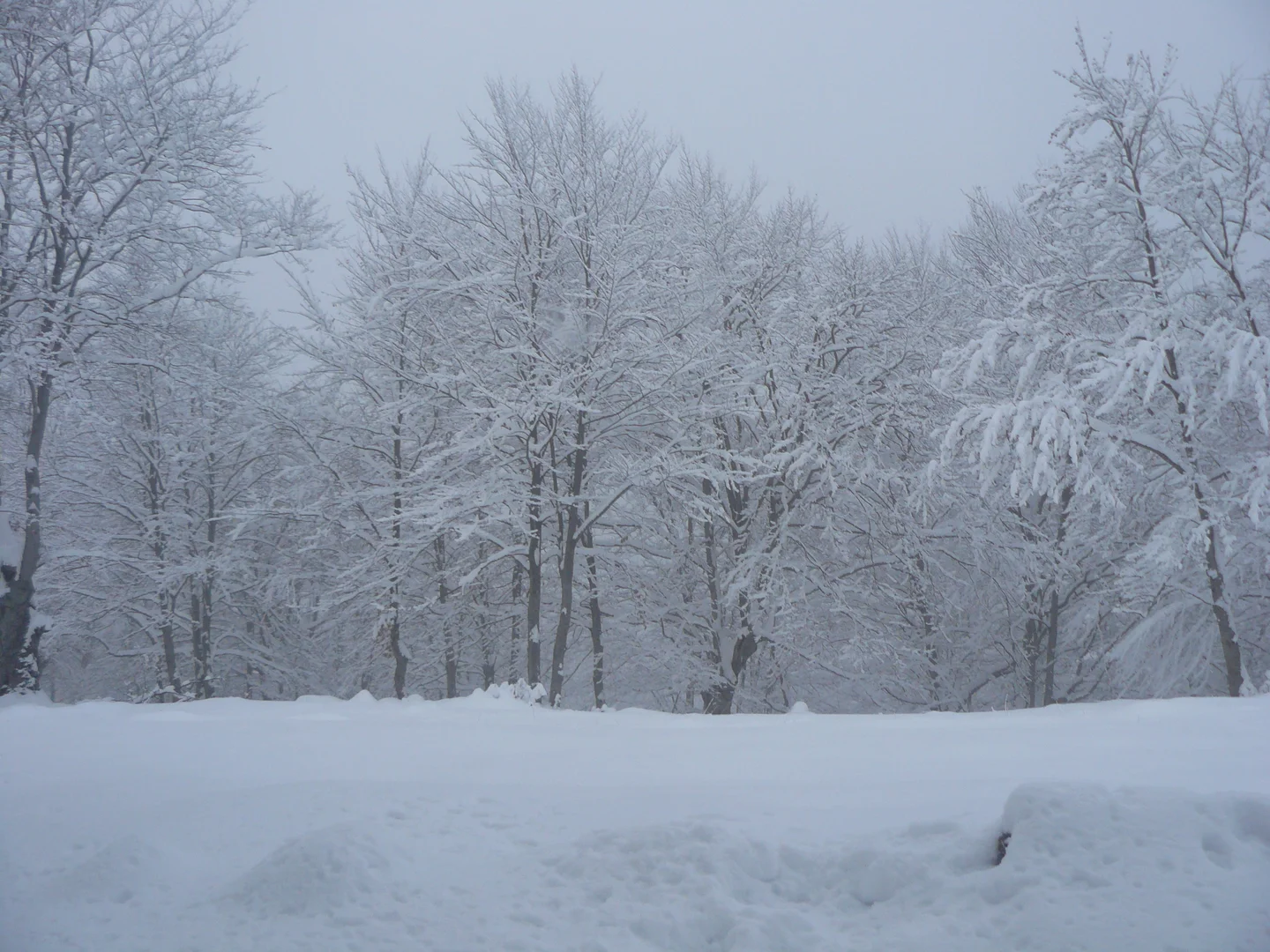 Snowfall