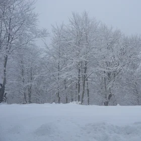Snowfall