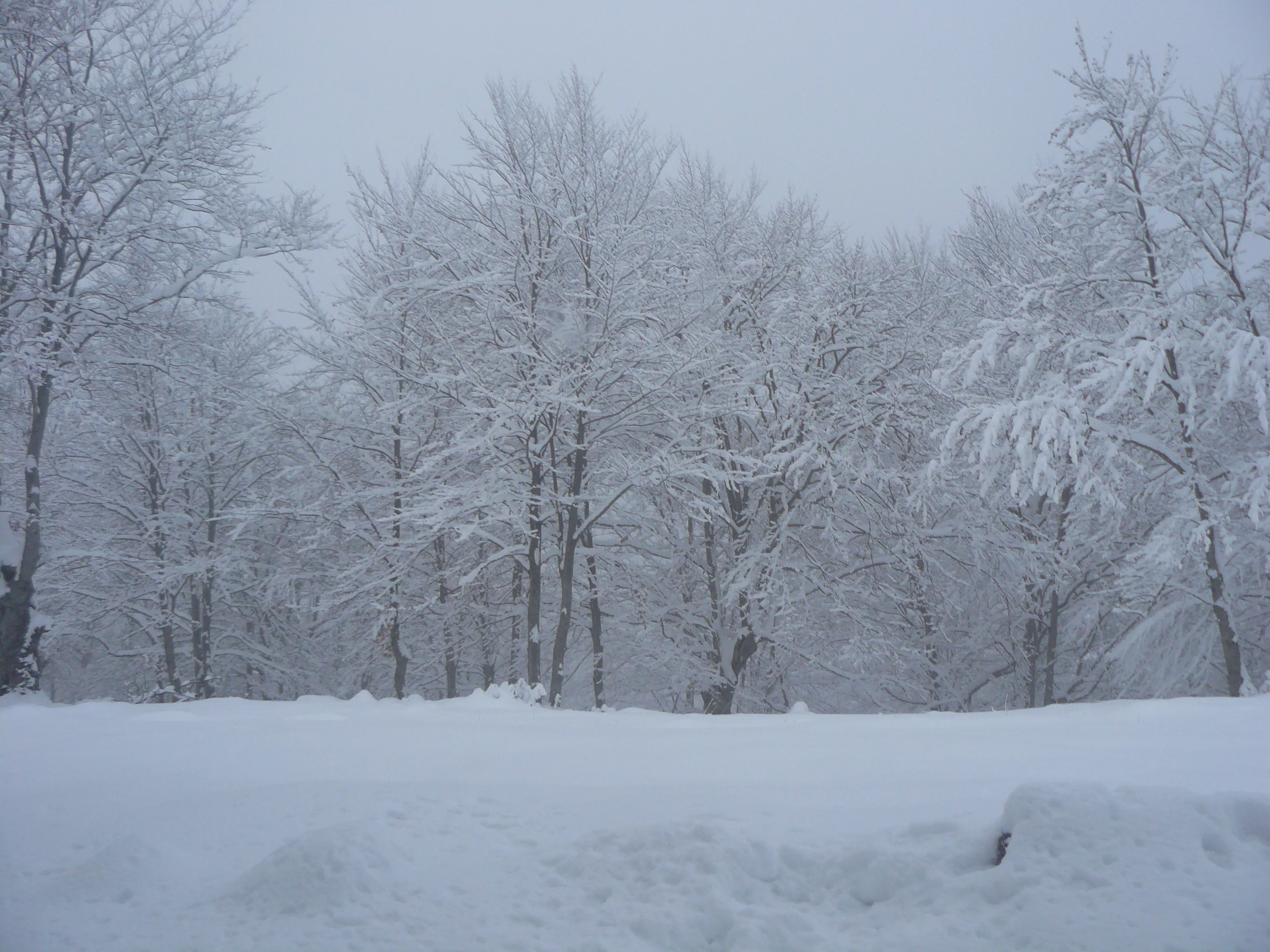 Snowfall