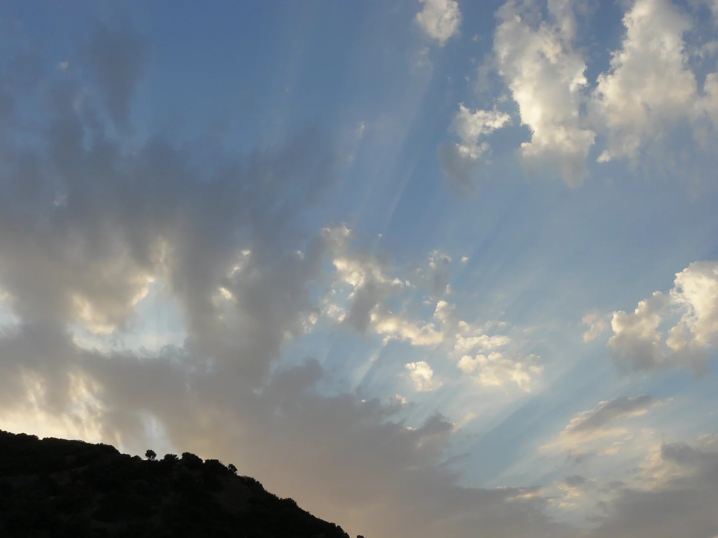 Sunbeams