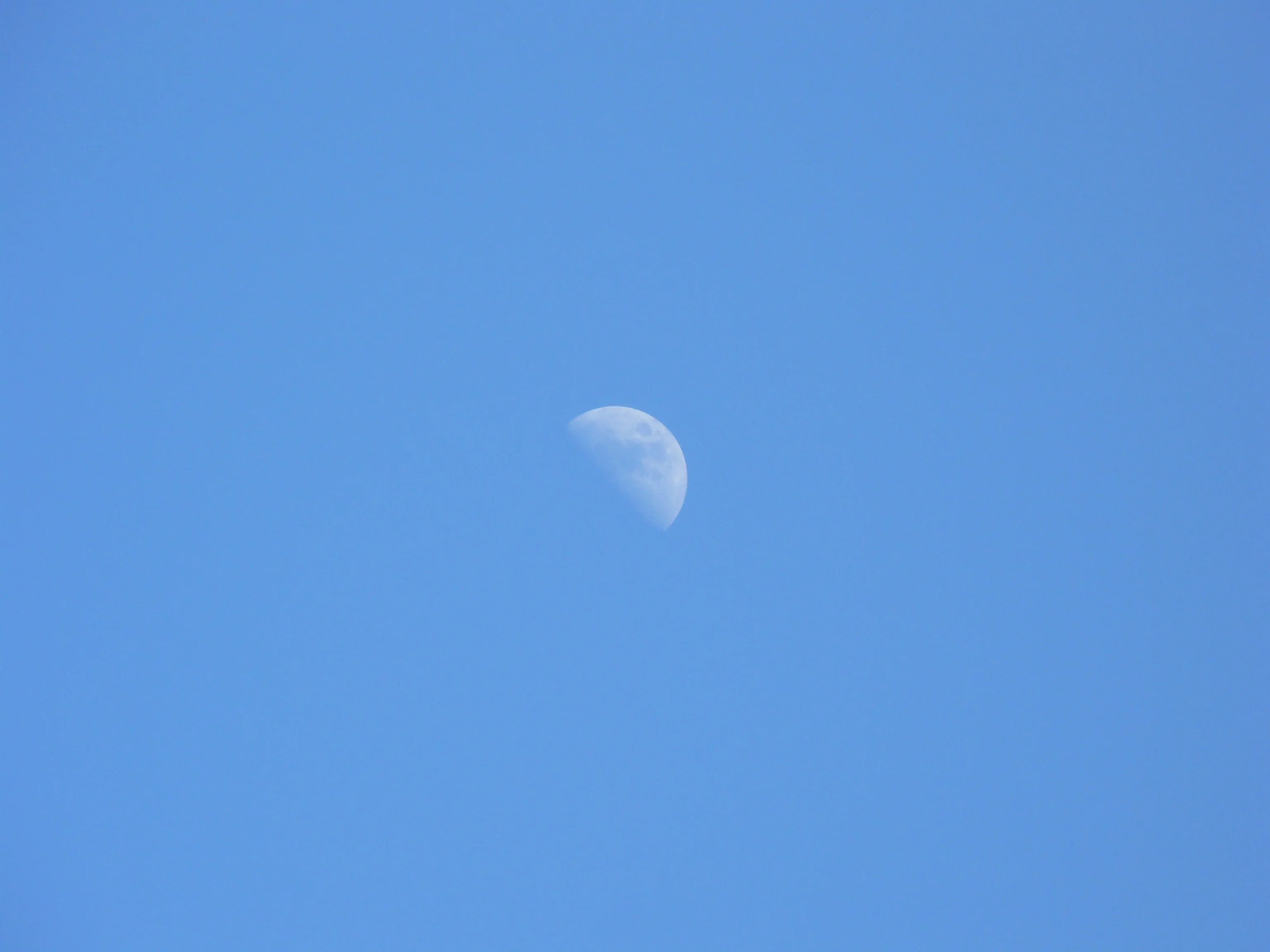 Day moon