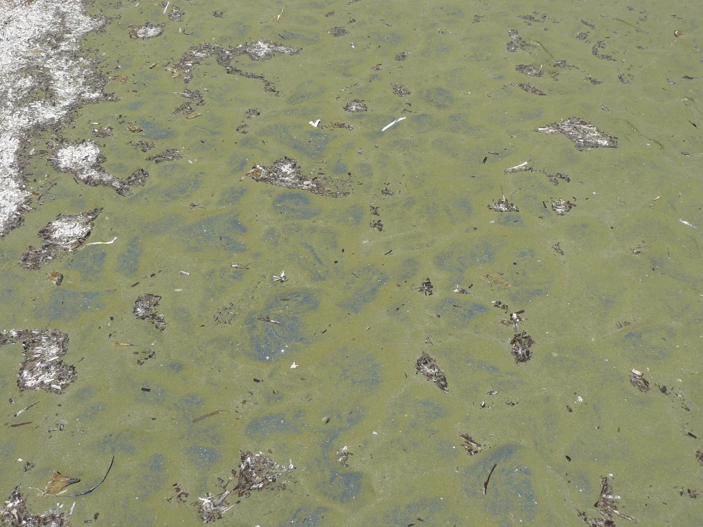 Green sand