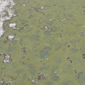 Green sand