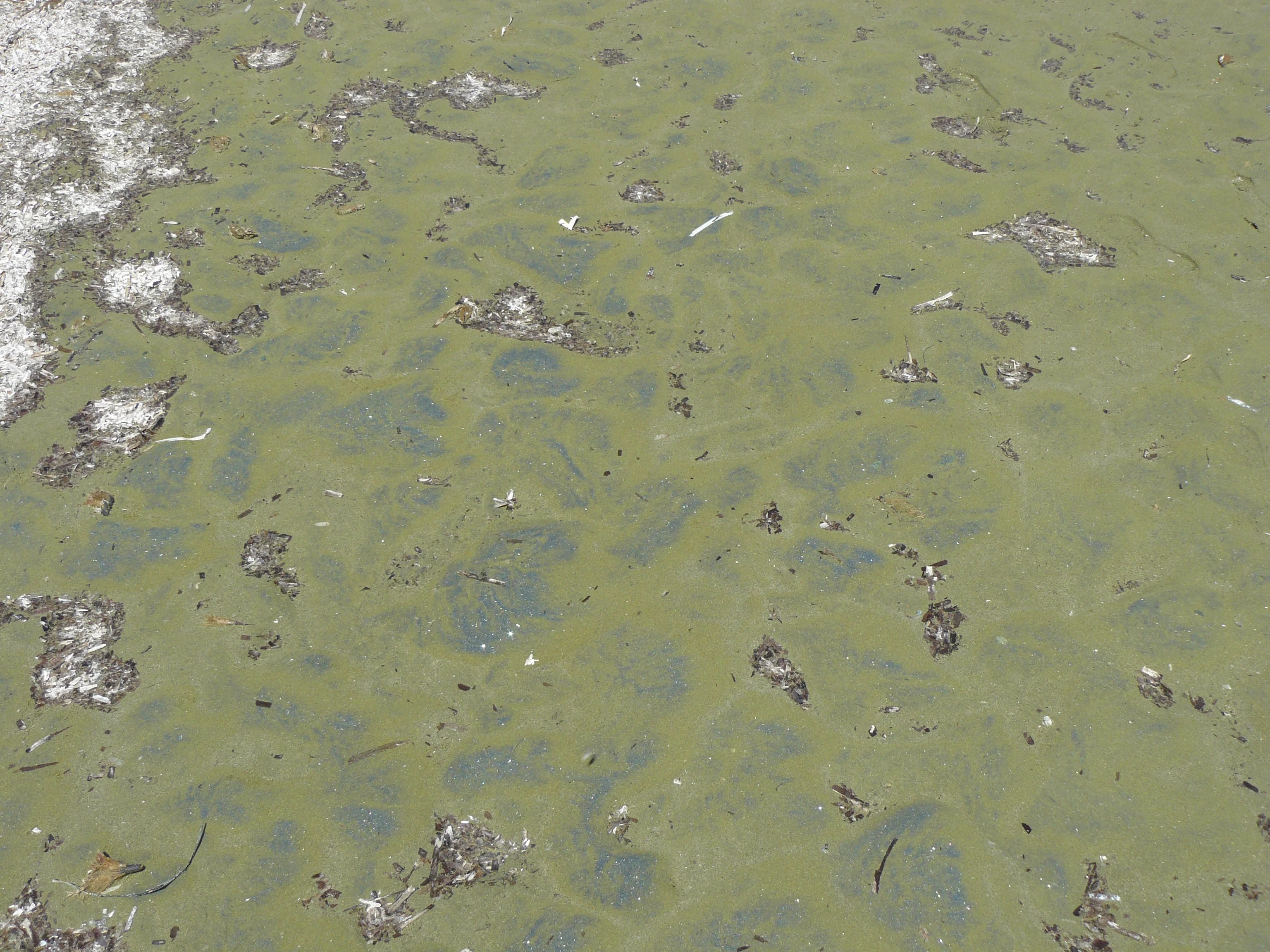 Green sand