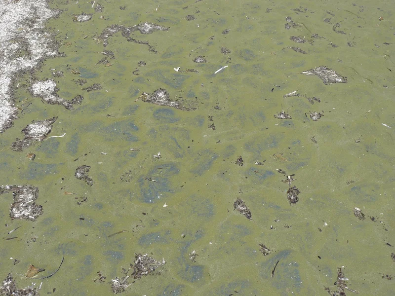 Green sand