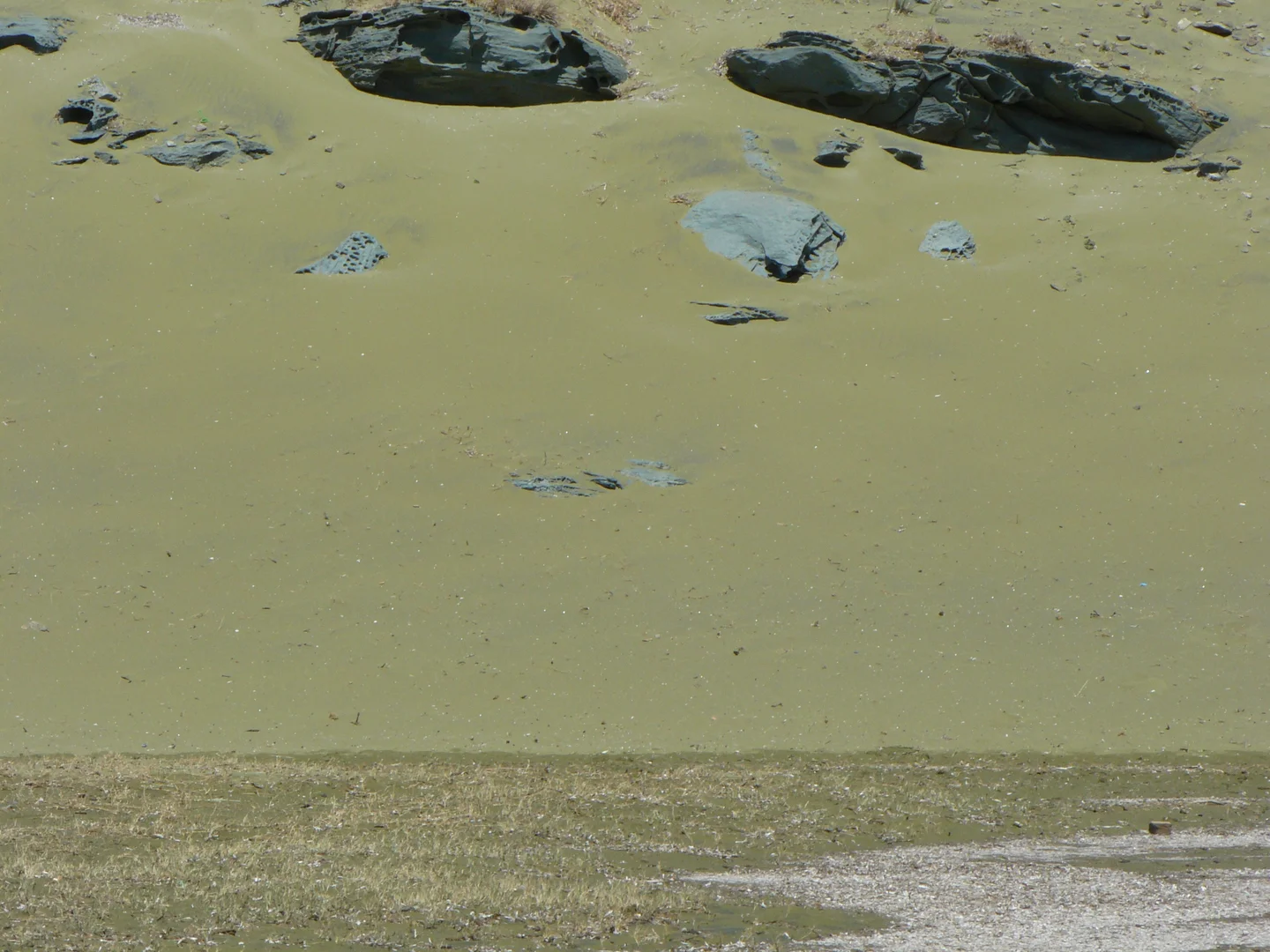 Green sand beach