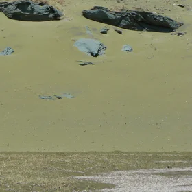 Green sand beach