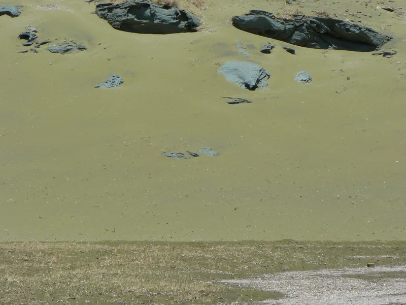 Green sand beach