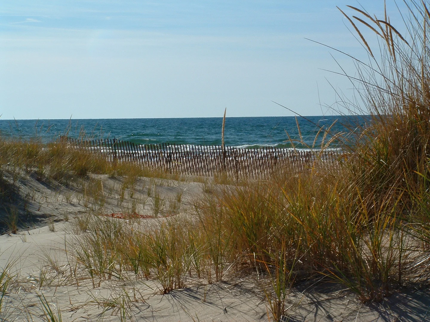 Coastal Protection