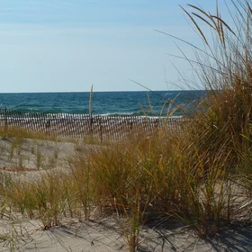 Coastal Protection