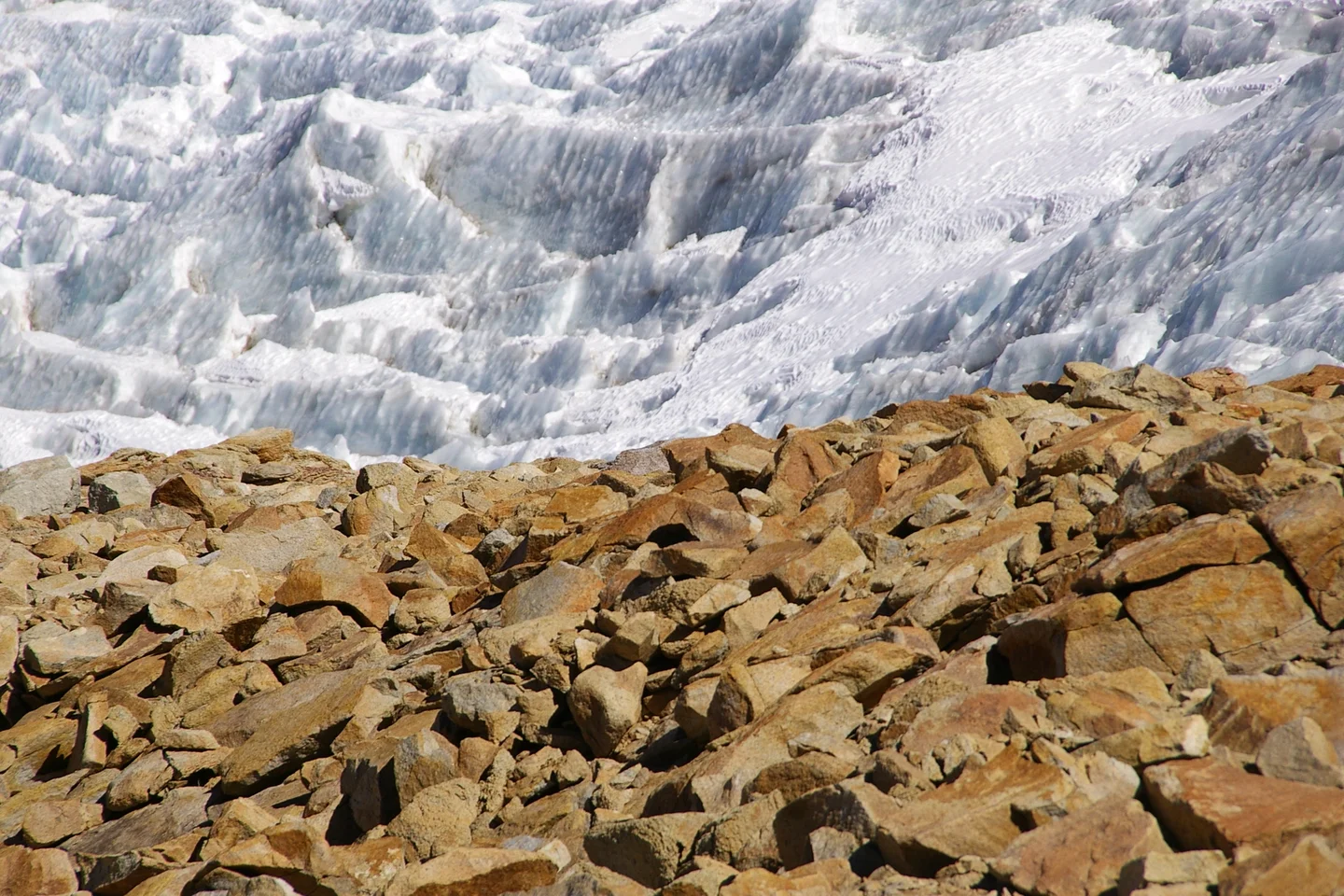 On the rocks