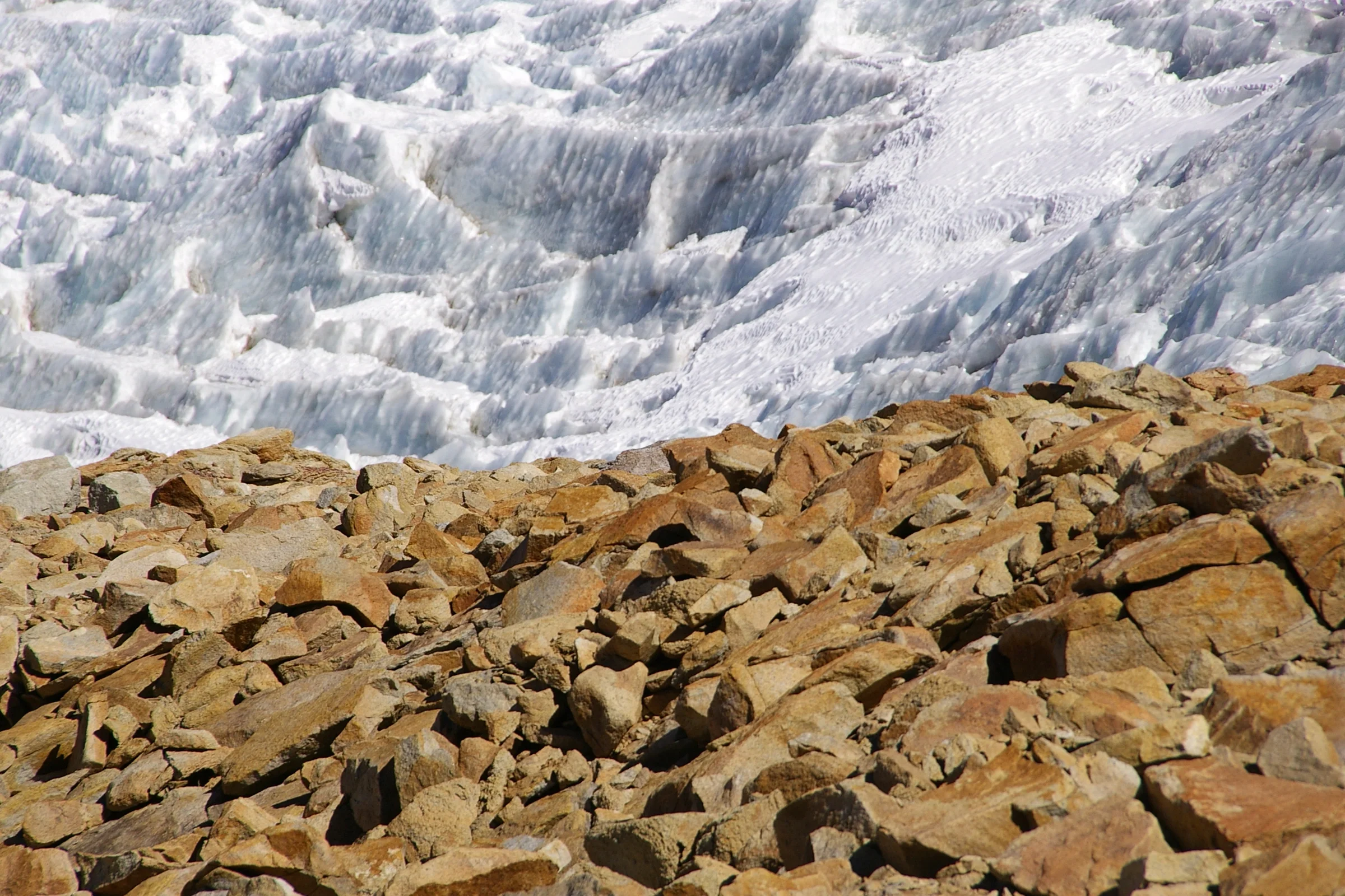 On the rocks