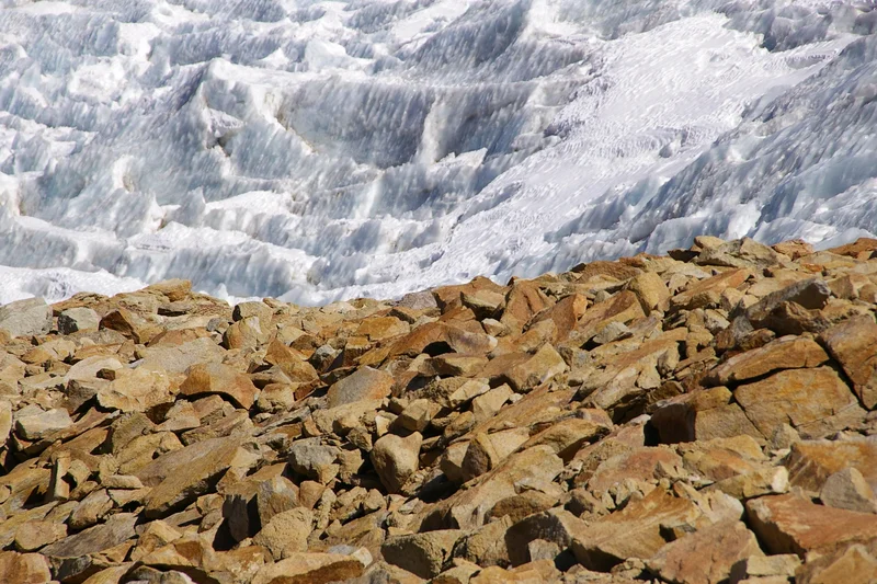 On the rocks